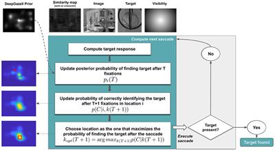 Modeling Human Visual Search in Natural Scenes: A Combined Bayesian Searcher and Saliency Map Approach